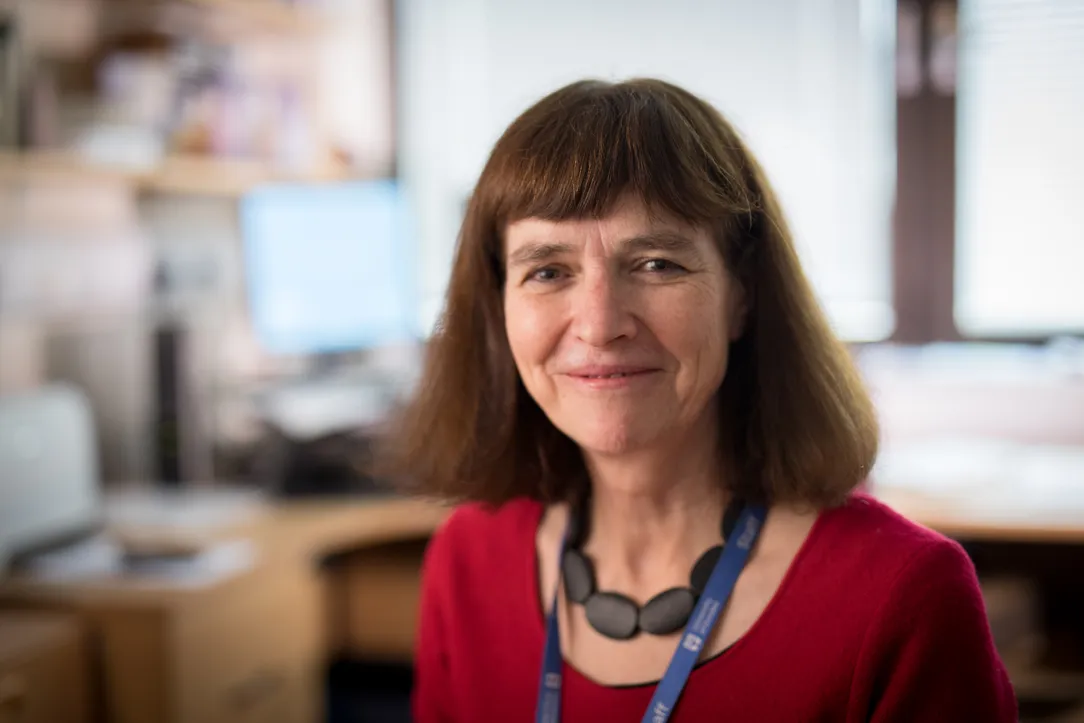 Professor Annie Anderson