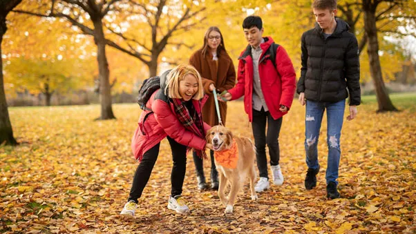 Students walking a dog in a park surrounded with autumn leaves 