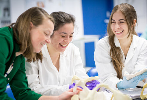 Students studying bones