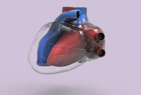 computer image of a heart