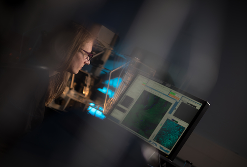 Researcher at the School of Life Sciences