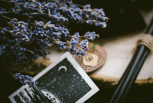 A halloween postcard and flowers