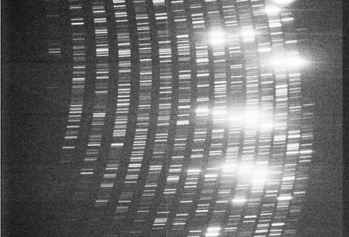 a black and white image showing spectral lines