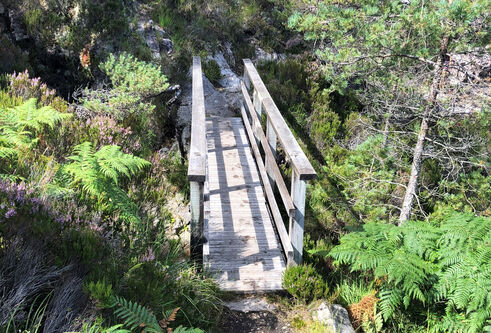A view from the path leading to the bridge, its gently weathered appearance making it melt into the landscape of ferns and rocks