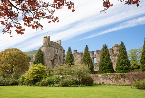 Falkland Castle, a part ruin in Fife, with sky showing through some windows and well kept conical trees at the front