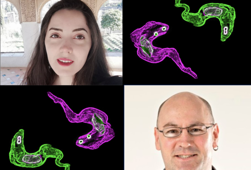 magenta and green cells with two portrait images