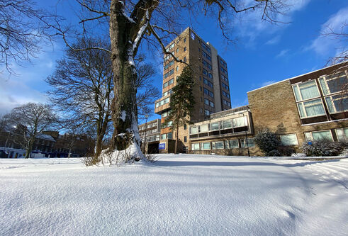 Tower Building in the snow