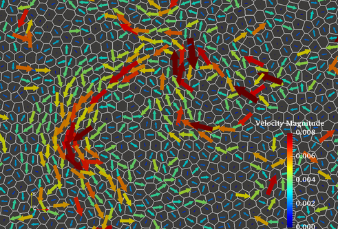 zoomed in cells in red and green