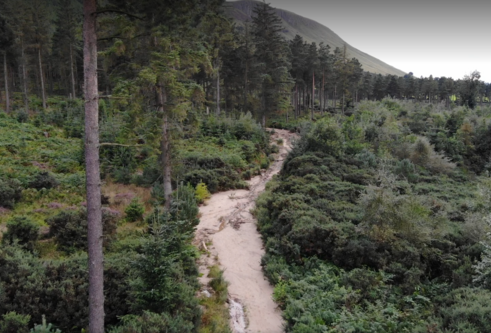 Landslip damage at Falkland, Fife.png