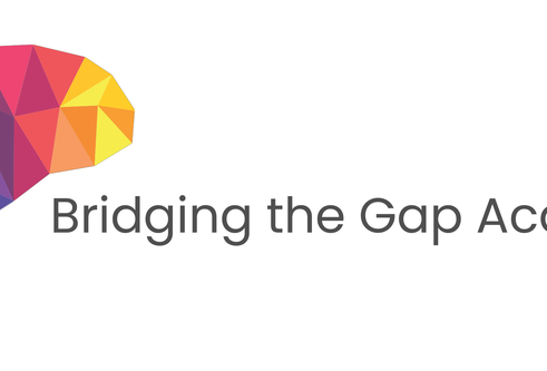 Bridging The Gap Academy logo
