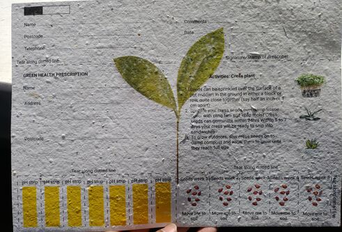 card with seeds in it showing a prescription and a plant with green leaves