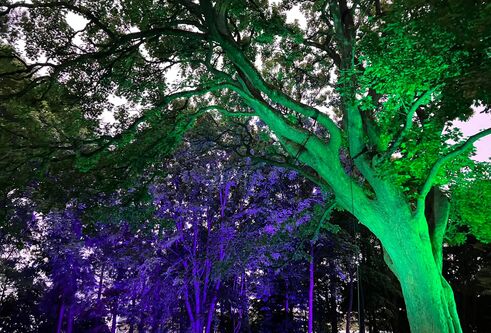 Over the Garden Wall - Festival of the Future 2022