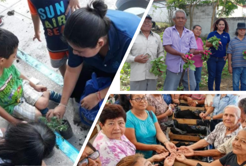 Community Gardens Beyond Communities