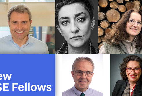 Montage of new RSE Fellows