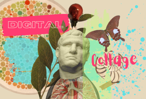 Digital collage of a variety of objects from the University of Dundee Museums including, a statue, butterfly, colour-blindness test chart, herbarium specimen, model of lungs and a red lightbulb.