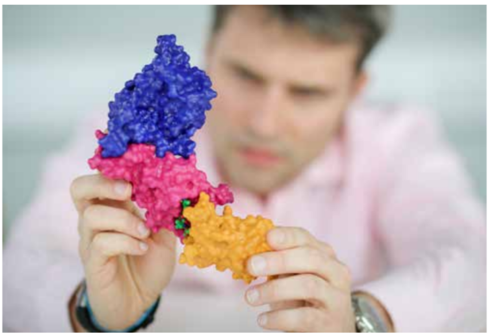 A photo of a three dimensional protein model being held by a person in the background