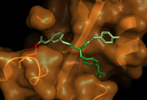 image of the developed compound