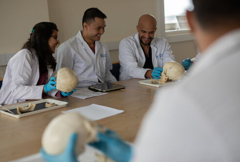 Dental students sitting a table looking over a set of teeth from a skull