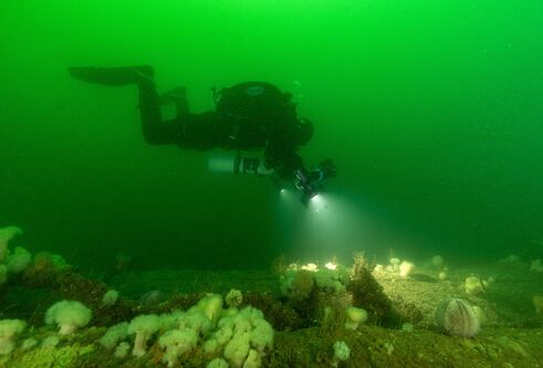 Divers use lights to survey the wreck underwater