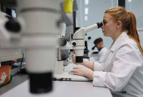 A person sitting in a lab looking through a micrscope
