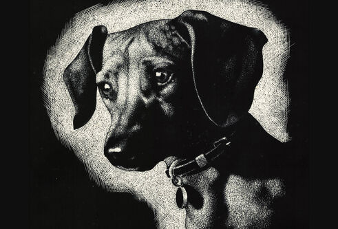 Dog's Head by Alexander Allan, c.1930s