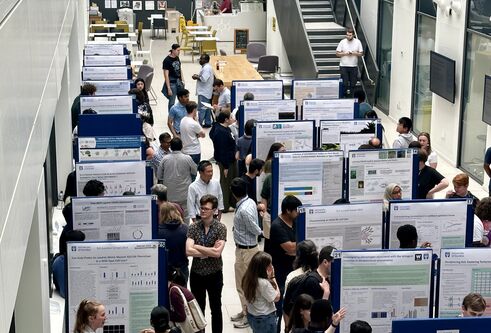 Multiple rows of poster boards with posters attached. People stood in front of posters talking.