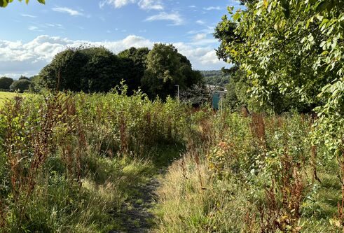 Overgrown green space, sitting high on hill, with path running through the middle. Bright blue sky in background