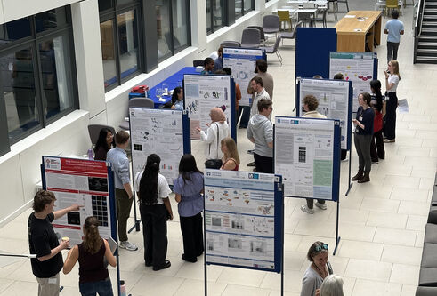 Posters on display on boards with people viewing them