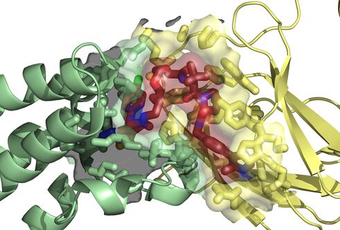 CeTPD's induced-proximity structure, shown in a variety of colours