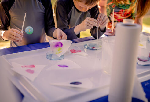 Young children taking part in a science experiment with coloured liquids