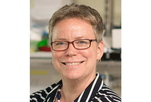 A head and shoulder shot of a woman with short hair and wearing glasses who is smiling