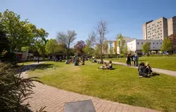 Students sit on Campus Green, looking towards Belmont Flats on a sunny day
