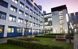 a tree and squares of grass with benches and the building behind it
