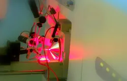 Biomarker and Drug Analysis Laboratory (BMDA) 