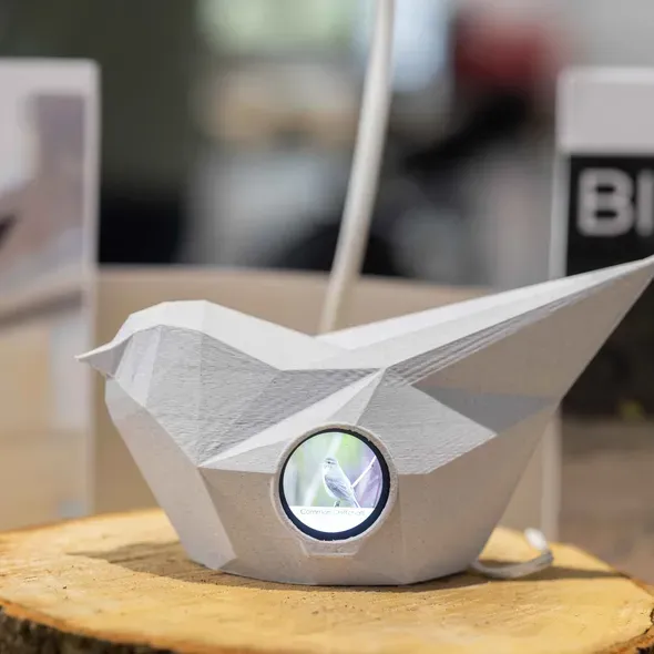 A shape of a bird with a small circle on the side as part of the Degree Show 2025 exhibition