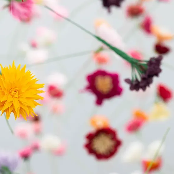 Lots of different flowers hanging from the ceiling with fish wire as part of the Degree Show 2025 exhibition