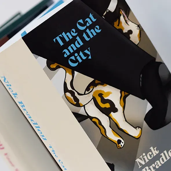 Two books back to back with a graphic design of a cat