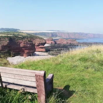 view over arbroath cliffs