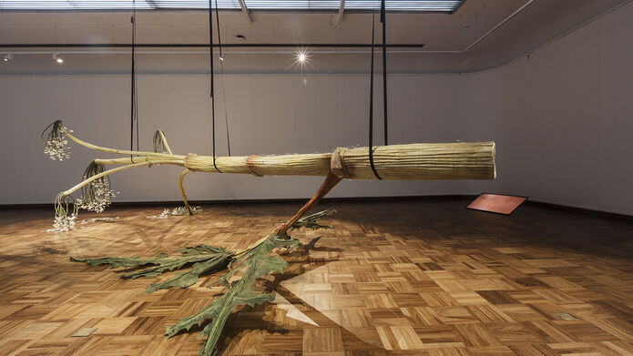 Large tree branch suspended from the ceiling in a gallery