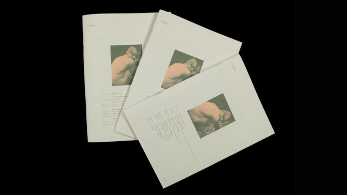 Three overlapping copies of Cooper Gallery's &labels magazine