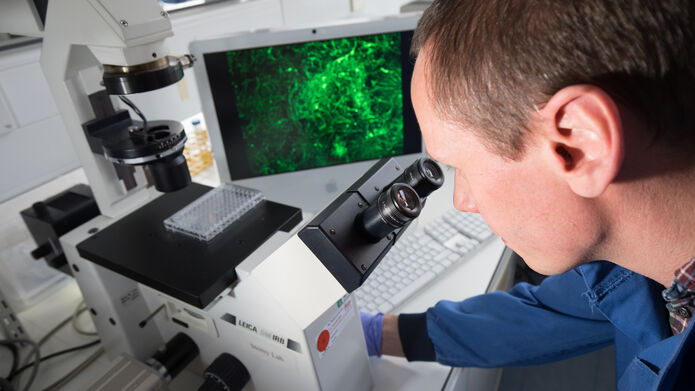 student working on computer with green screen