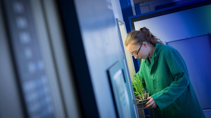 Scientist working in the plant lab in a green lab coat