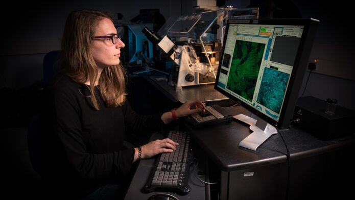 girl working at computer screen