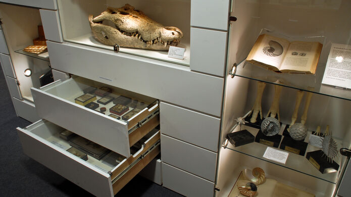Image of white display cases with museum items in them