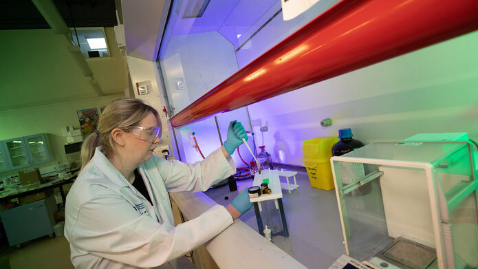 A female scientist wearing a lab coat, safety glasses and gloves pipetting blood samples into a series of test tubes inside of a ventilated fume closet