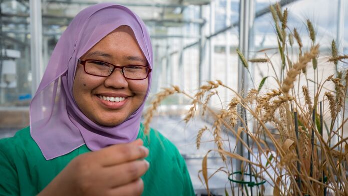 student standing by corn they have cultivated