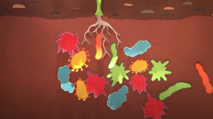 Paper cut out shapes to show plant microbiome