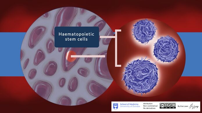 TILT animation image