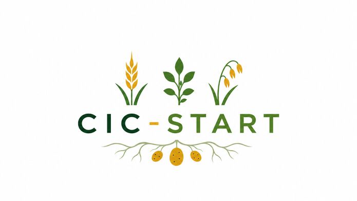 CIC START logo with image of plants above ground and potatoes underground
