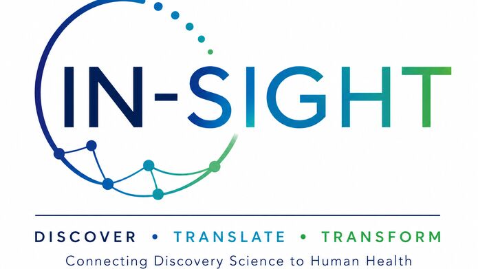 IN-SIGHT logo